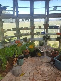 Cute half round glasshouse